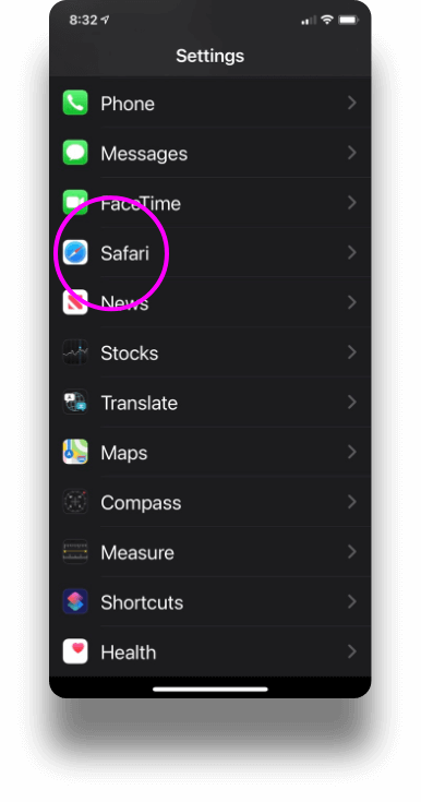 Safari option in iPhone settings
